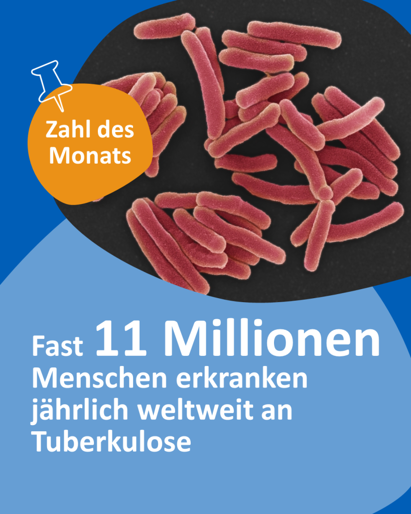 Oben mittig befindet sich ein Foto von Tuberkulose-Bakterien unter einem Elektronenmikroskop, die Bakterien sind als rötliche, stabförmige Strukturen auf schwarzem Hintergrund zu sehen.

Links oben ein orangefarbenes Element mit einer angesteckten Pinnnadel-Illustration, in dem in weißer Schrift steht: „Zahl des Monats“.

Der untere Teil der Folie ist in Blautönen gehalten.

Groß und fett hervorgehoben: „11 Millionen“
Restlicher Text: „Fast 11 Millionen Menschen erkranken jährlich weltweit an Tuberkulose“