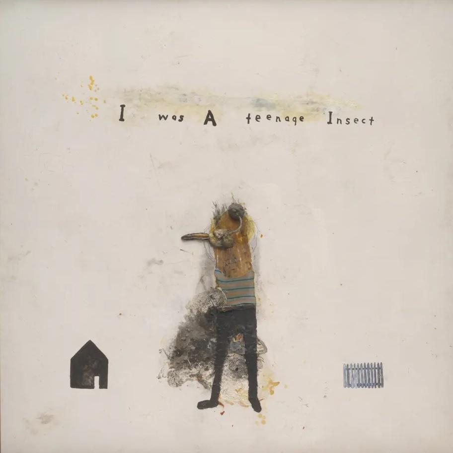 A semi-abstract figure covered in spiky, mottled textures and a striped sweater stands against a blank background between a small picket fence and small silhouette of a house. In small handwriting the text " I was A teenage Insect" floats in the sky.