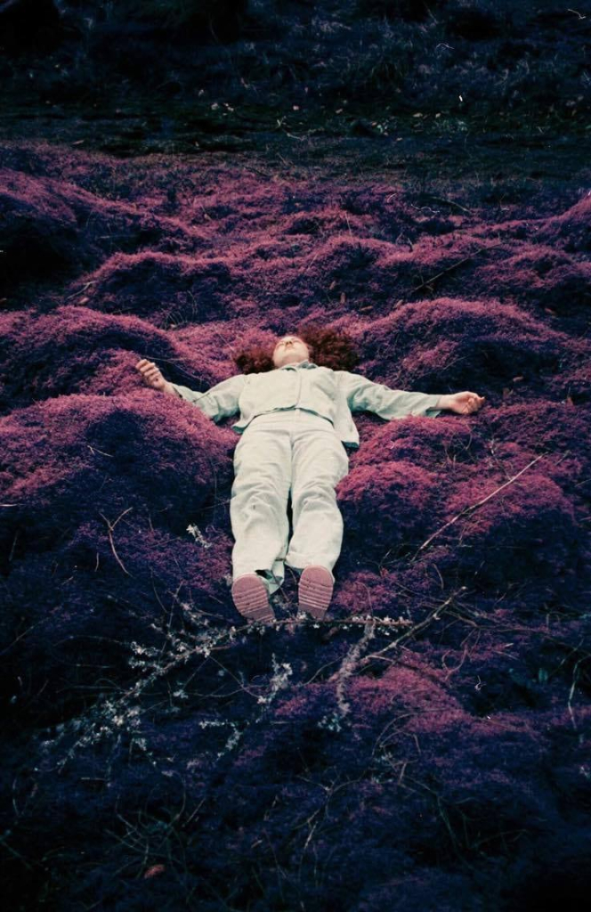 Photo of a white figure wearing light grey pants and button down shirt, lying in a field of dark purple grasses, seen from below.