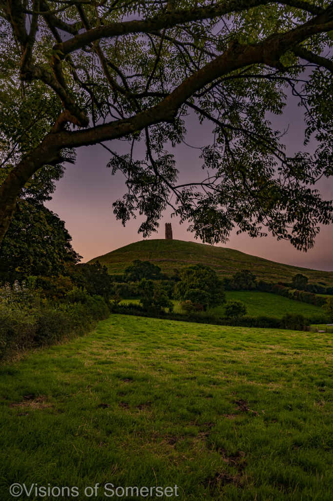 Lilac sky. Tree framing the shot. Hill and tower in the background with a field in the foreground.