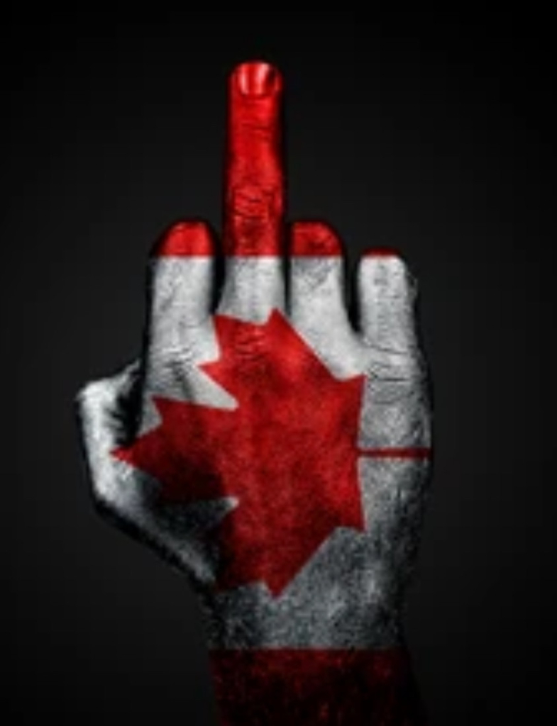 Hand painted with canada flag giving middle finger