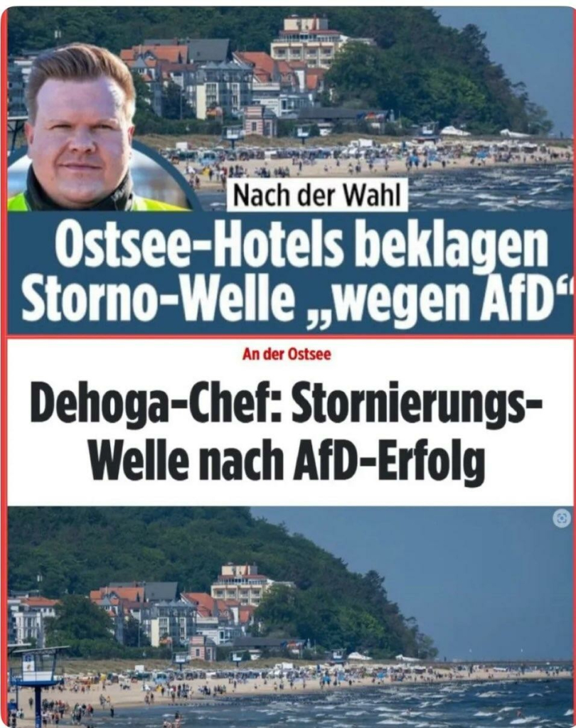 Ostseehotels beklagen stornowelle wegen AFD, DEHOGA Chef stornierungswelle nach AFD Erfolg