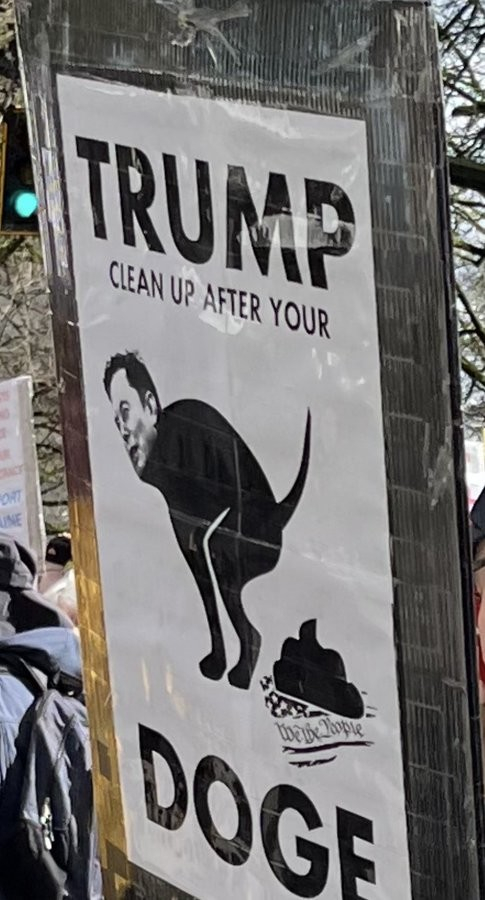 Placard from a protest shows Space Karen's head photoshopped onto a dog's body.  The dog is taking a shit on the American flag.  Text reads:
TRUMP
CLEAN UP AFTER YOUR DOGE