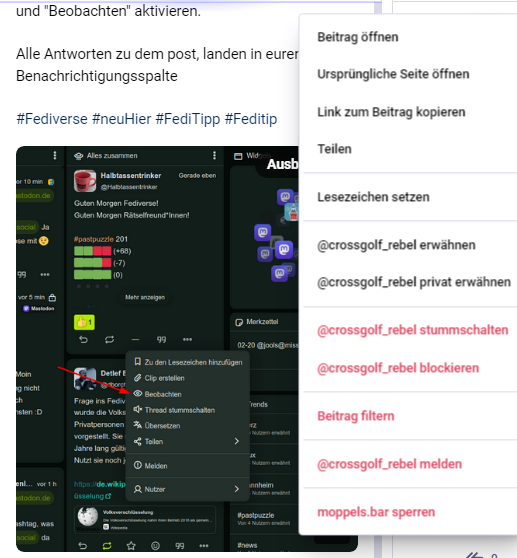 Kontextmenü des Posts im Mastodon-Webclient mit "Erwähnen, Öffnen, Teilen ...Blockieren ... etc. aber ohne "Beobachten".