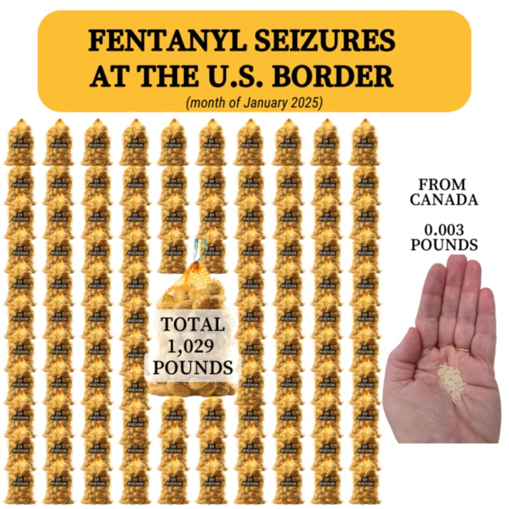 Infographic of Fentanyl seizures at the US border (January 2025). 1,029 lbs represented as bags of potatoes & the portion from Canada: 0.003 lbs is a tiny teaspoon of rice in a open palm.