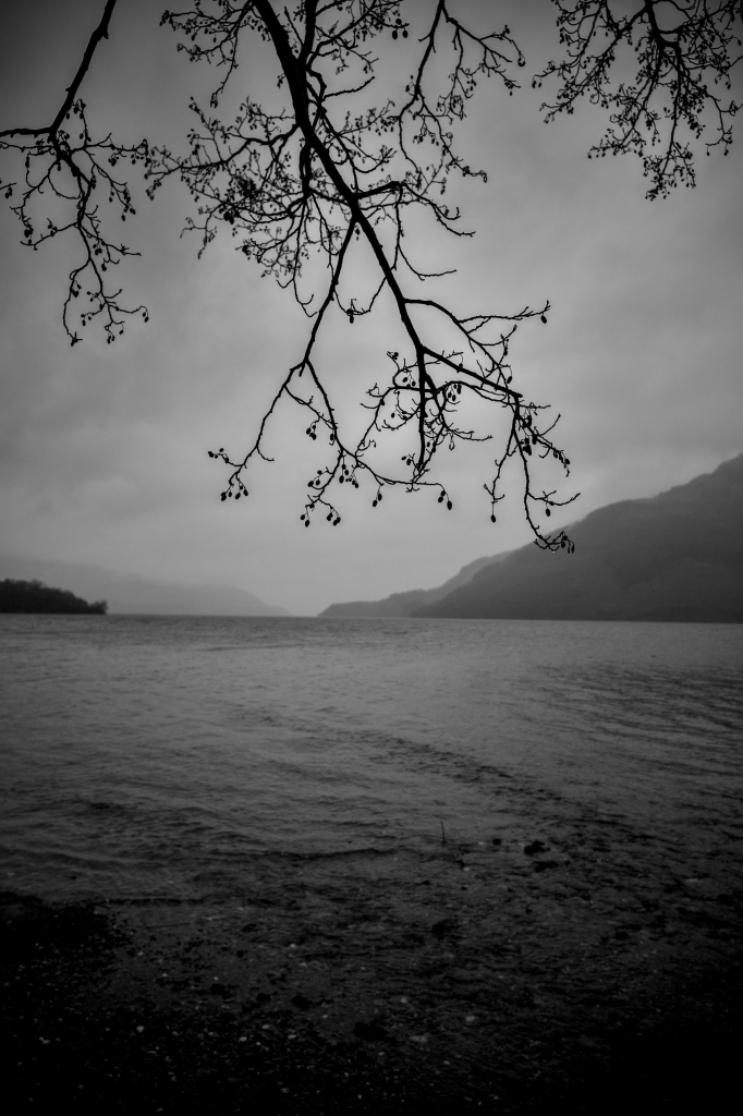 Black and white portrait format image showing rainclouds over Loch Lomond, with the branches of a tree appearing at the top of the image and the dark loch and mountains filling the rest of the frame