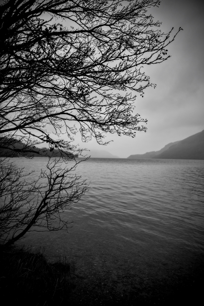 Black and white portrait format image showing rainclouds over Loch Lomond, with the branches of a tree appearing at the top left of the image and the dark loch and mountains filling the rest of the frame