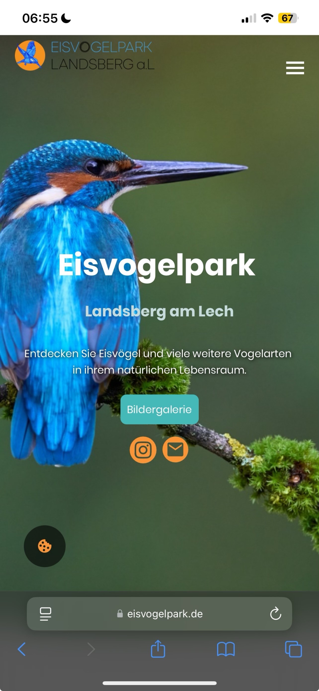 The image features a colorful kingfisher perched on a branch, with prominent text indicating "Eisvogelpark Landsberg am Lech," promoting a bird park. The background is softly blurred, emphasizing the bird and the park's logo.