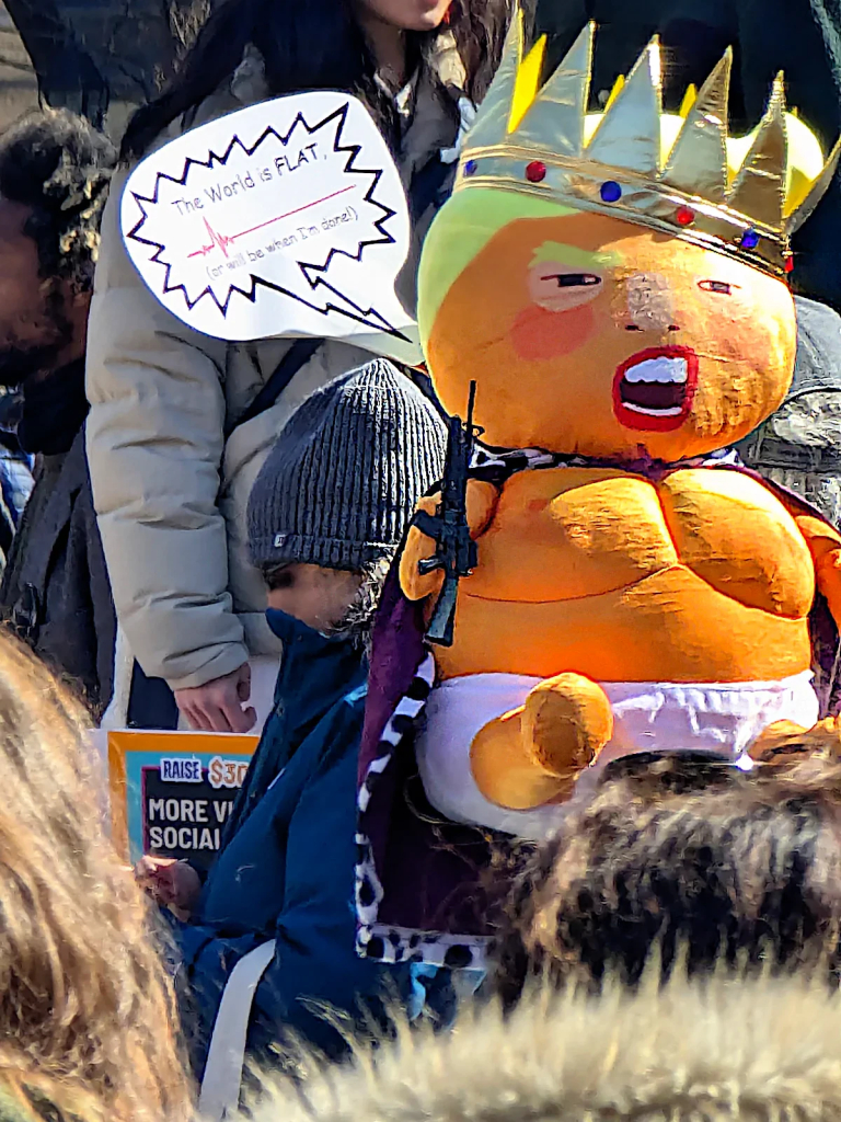 King trump effigy. He is a big fat orange plush doll with a gold crown, wearing a diaper and a purple cape, holding a tiny automatic rifle. 

He has a word bubble that says "The World is FLAT" then features a heart rate monitor that has flat-lined, below which it says "(or it will be when I'm done!)"