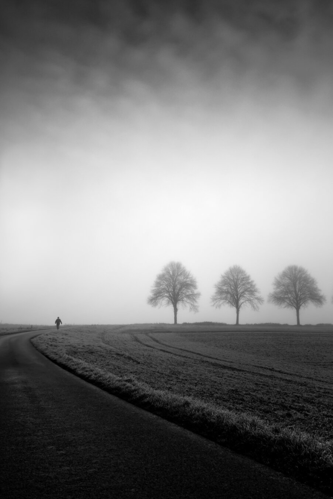 black and white. portrait format. landscape. a foggy morning. a curved path leads the eye to a group of 3 trees. on the path, a lonely walker or hiker, as a small black silhouette.