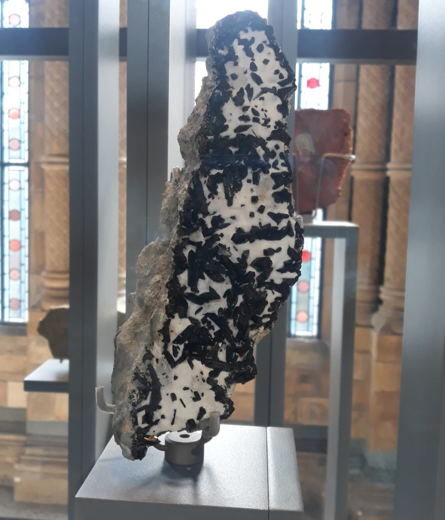 An elongate slab of rock with a bumpy coating of white natrolite which resembles snow. There are black pointy crystals of neptunite of varying sizes spread across the natrolite.