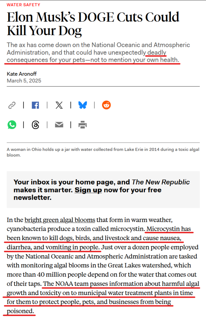 Headline and text from article:

Headline: water safety
Elon Musk’s DOGE Cuts Could Kill Your Dog

The ax has come down on the National Oceanic and Atmospheric Administration, and that could have unexpectedly deadly consequences for your pets—not to mention your own health.

by Kate Aronoff
March 5, 2025

Text:
In the bright green algal blooms that form in warm weather, cyanobacteria produce a toxin called microcystin. Microcystin has been known to kill dogs, birds, and livestock and cause nausea, diarrhea, and vomiting in people. Just over a dozen people employed by the National Oceanic and Atmospheric Administration are tasked with monitoring algal blooms in the Great Lakes watershed, which more than 40 million people depend on for the water that comes out of their taps. The NOAA team passes information about harmful algal growth and toxicity on to municipal water treatment plants in time for them to protect people, pets, and businesses from being poisoned. 