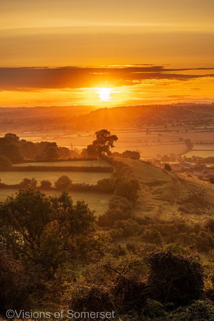 Sun in a golden sky. Land below with trees and fields.