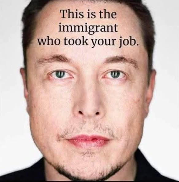 Picture of Elon Musk with the words, "This is the immigrant who took your job"