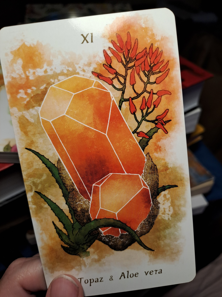 A tarot card depicting a watercolor image of a topaz crystal surrounded by aloe vera leafs and flowers. The card has a yellow-orange color palette. The text says IX - Topaz & Aloe Vera