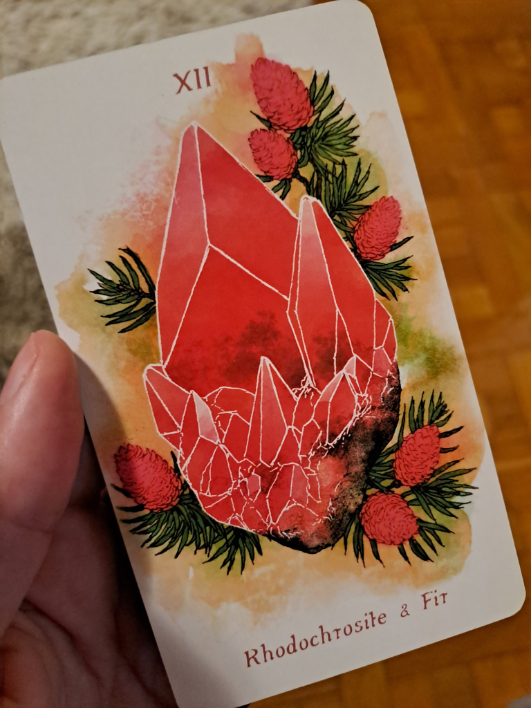 Tarot card featuring a watercolor image of a rhodochrosite crystal surrounded by fir branches with reddish cones on them.