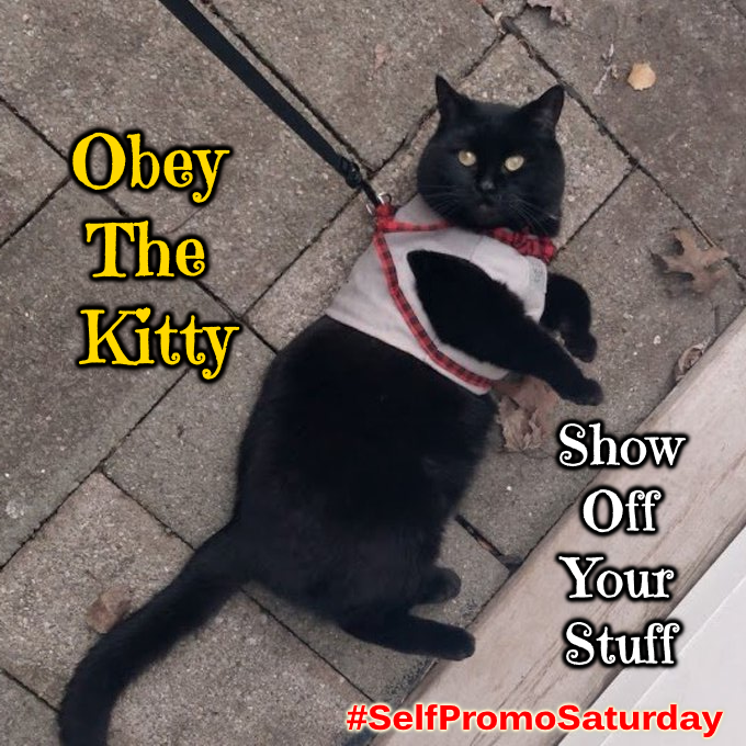 Jack Skellington, Lord Supreme of Treats, All-Sovereign Emperor of Comfy Spots, The Mighty and Glorious Steed of the Queen Daddy Lambie Pie, Goddess of Goddesses

Black cat in grey vest harness with red plaid straps and bowtie, laying adorably on his side looking up at the camera.

LEFT TEXT: Obey The Kitty
RIGHT TEXT: Show Off Your Stuff
BOTTOM TEXT: #SelfPromoSaturday