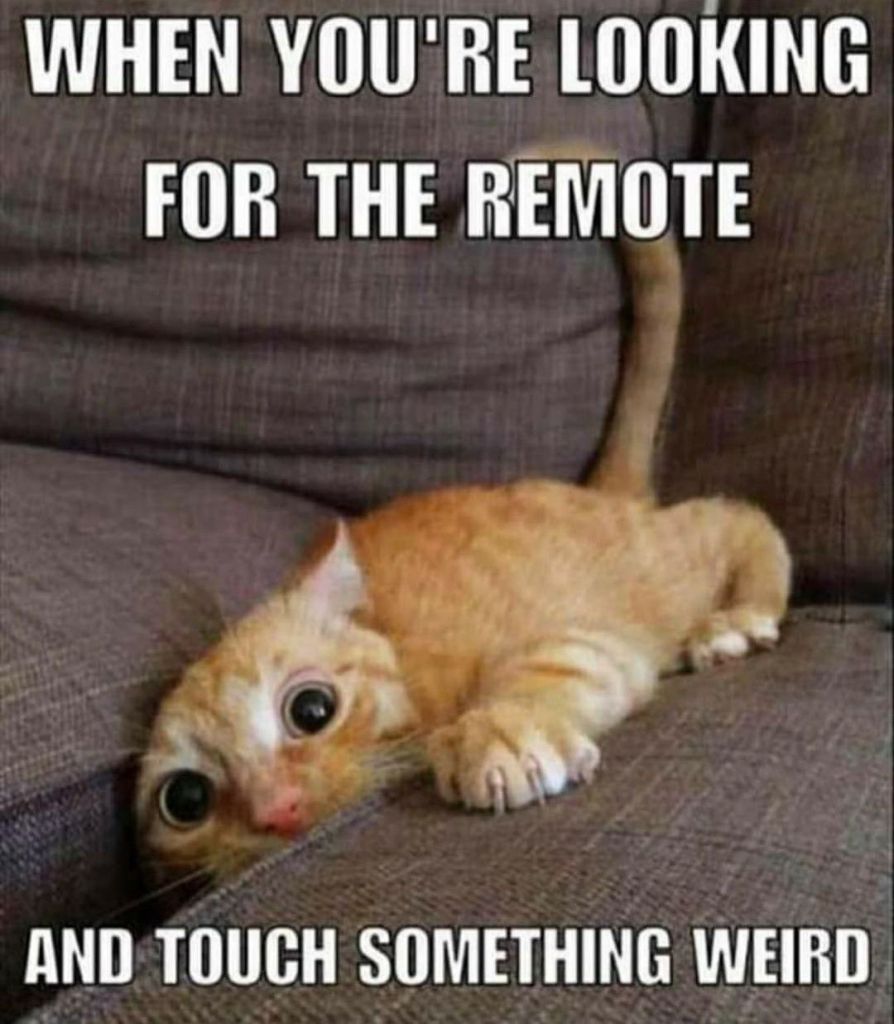 Orange kitten with its foreleg stuck down in the couch, it's eyes are wide with fear or excitement, and it's claws are out. Caption: When you're looking for the remote and touch something weird.