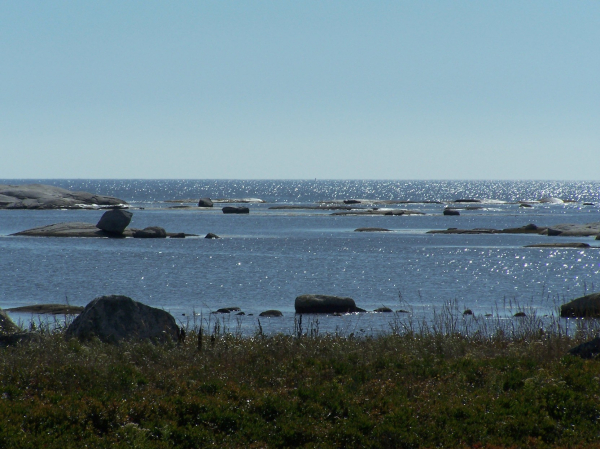 A rocky coastline in Nova Scotia. Rocks are exposed everywhere across the water, looking out to the horizon. Foreground is the shoreline with grass