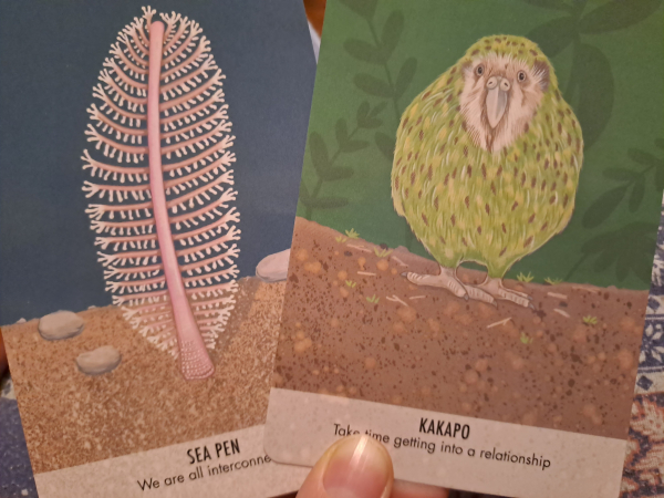 Two cards, with color drawings of a sea pen and a kakapo. Sea pen card says "we are all interconnected", kakapo says "take time getting into a relationship"