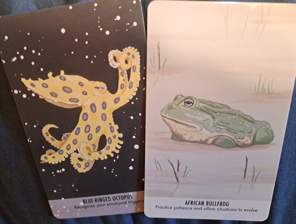 Two cards, one depicting a blue ringed octopus and the other an African bullfrog. Octopus says "recognize your emotional triggers", frog says "practice patience and allow situations to evolve"