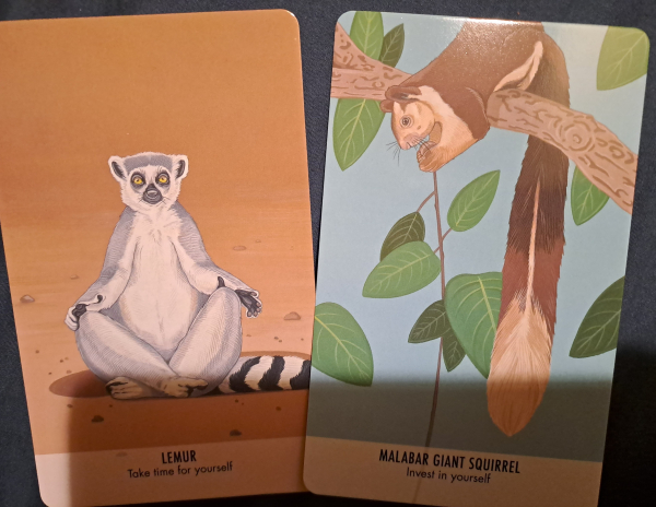 Two cards with color drawings. One portrays a ring tailed lemur, the other a Malabar giant squirrel on a branch. Lemur card says "take time for yourself", Squirrel says "invest in yourself"