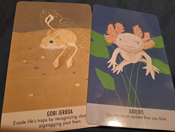 Two cards featuring color drawings of a jerboa and an axolotl. Jerboa card says "evade life's traps by recognizing obstacles and zigzagging past them." Axolotl says "you are more resilient than you think."