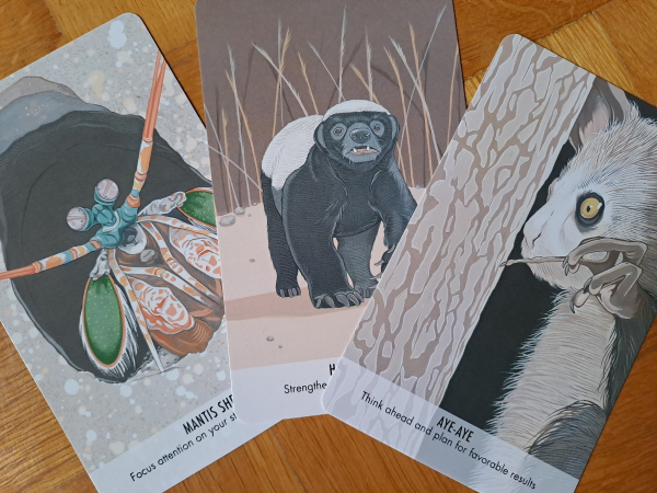 Three cards with color drawings: a mantis shrimp, a honeybadger, and an aye-aye. Mantis shrimp card reads "focus attention on your strengths and abilities", badger says "strengthen your resolve and tenacity", aye-aye says "think ahead and plan for favorable results"