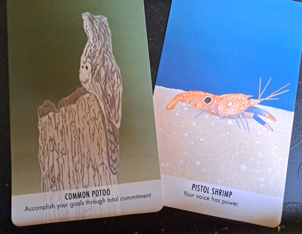 Two cards with color drawings of a potoo bird and a pistol shrimp. The potoo card says "accomplish your goals through total committment" shrimp says "your voice has power"