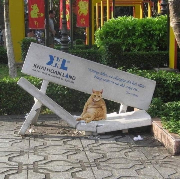 orange tabby cat sitting upright like Bill the Cat with it's legs splayed forward and a big pink belly. It's on a concrete bench that has broken in half where it is sitting