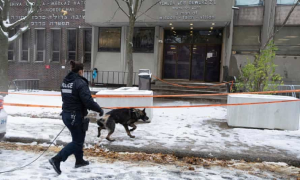 Police search for clues at the Yeshiva Gedolah school after shots were fired on 9 November 2023 in Montreal. Photograph: Ryan Remiorz/AP