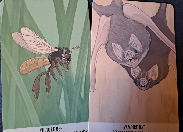 Two cards with color drawings of a vulture bee and two vampire bats