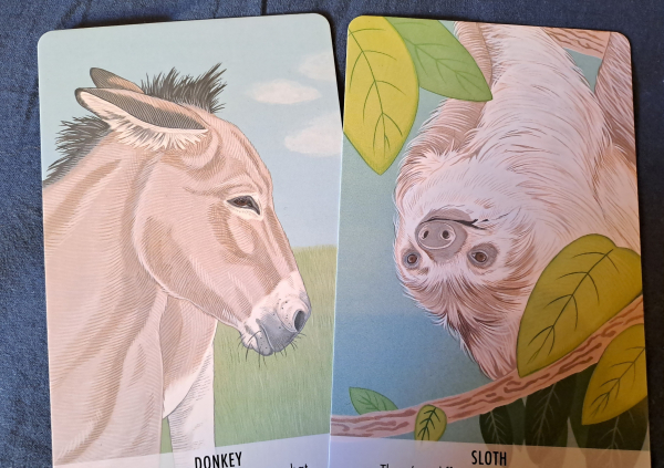 Two cards with color drawings of a donkey and a sloth