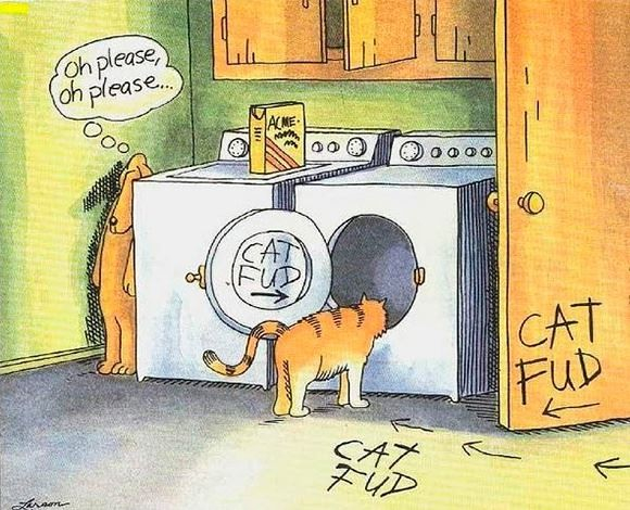 Classic Gary Larsen
Cat fud signs direct orange cat to dryer; dog (hiding) saying “oh please oh please”