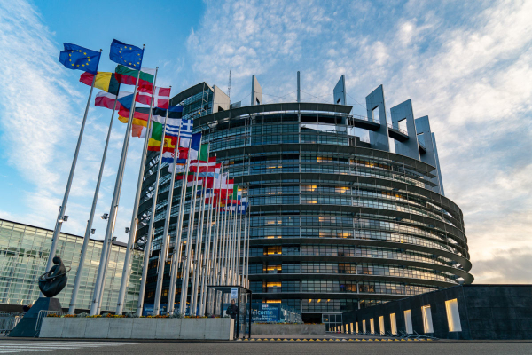 Sede del Parlamento Europeo, en Estrasburgo, llamado edificio "Louis Weiss". Tiene forma de circunferencia, con paredes curvas acristaladas, sostenidas por planchas verticales de acero o algún material similar. Se vislumbran luces en el interior.

A la izquierda del edificio, se ven alineadas todas las banderas de los 27 países miembros de la Unión Europea, con dos banderas de la unión presidiendo.