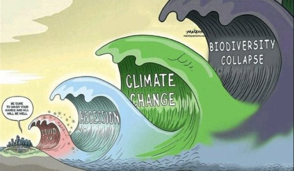 Cartoon: The wave of biodiversity collapse arrives; the wave of climate change arrives; the wave of recession arrives and the arrival of Covid 19. And humanity says: we sure to wash your hands and all will be well.