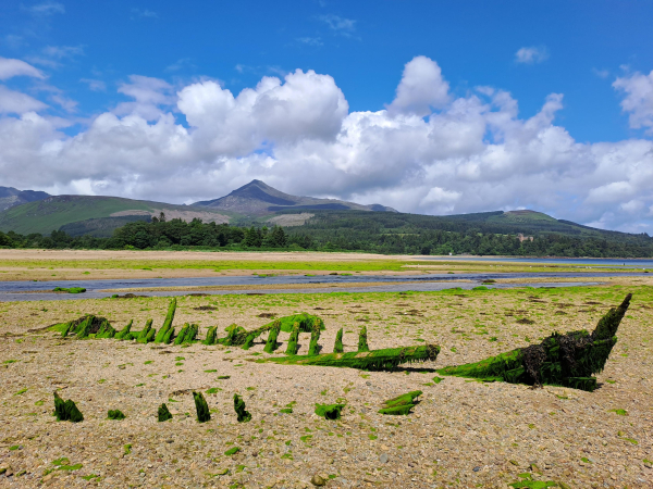 Sandy beach on the Isle of Arran at low tide. Moutains and greenery in the background with a cloudy blue sky. In the foreground, sunk into the pebbles and sand is the skeleton of a wooden ship, barely visible, covered in bright green seaweed.