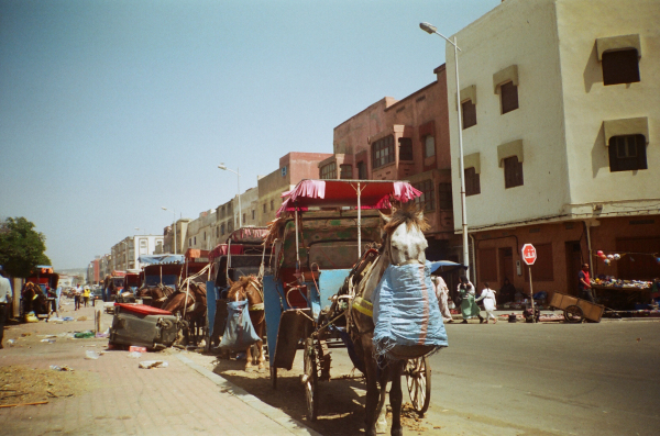 Street scene with horse-drawn carriages lined up along the sidewalk in front of buildings.