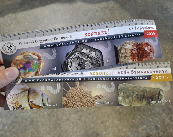 Bookmarks featuring the candidates. Mineral of the Year 2025 candidates are Opal, Hematite and Aragonite. Fossil of the Year candidates are Viviparus, radiolaria and Equisetites. The bookmarks say VOTE! in colorful letters. They also double as rulers.