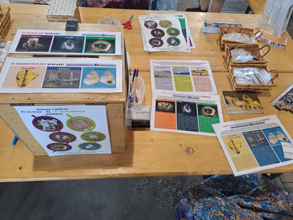 Photo of the voting table. There is a cardboard box for the voting slips, decorated with photos of all the candidates. Also colorful information pamphlets on the candidates as well as bookmarks and postcards, and small baskets of giveaway minerals.