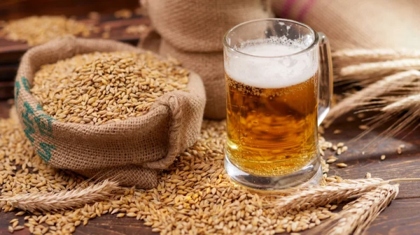 Photo of a burlap sack filled with grain and a pint of beer with a few ears of grain lying around.