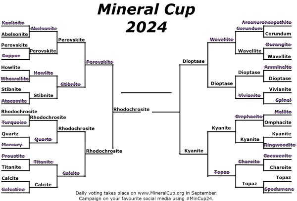 Mineral Cup 2024 bracket showing Rhodochrosite as the winner.