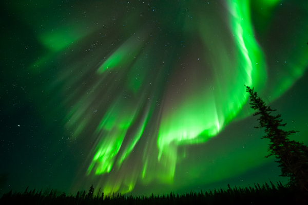 Northern lights in bright green with a hint of white over Pleasant Acres Reindeer Farm in Fairbanks, AK.