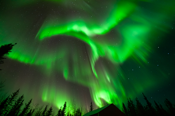 Northern lights in bright green with a hint of white over Pleasant Acres Reindeer Farm in Fairbanks, AK.