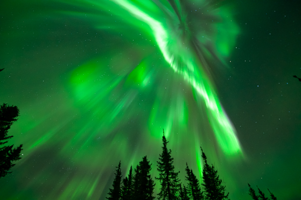 Northern lights in bright green with a hint of white over Pleasant Acres Reindeer Farm in Fairbanks, AK.