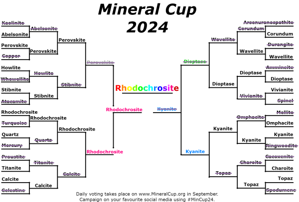 Mineral Cup 2024 bracket with its champion, Rhodochrosite!