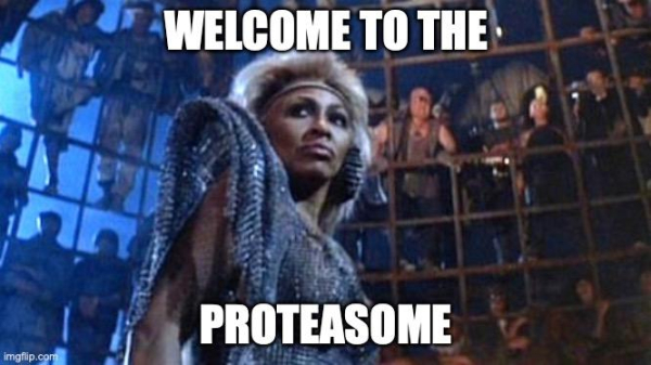 Tina Turner from the movie Thunderdome. The caption is “Welcome to the Proteasome”, because the proteasome sounds like the cellular (biology, not phone) equivalent of Thunderdome. 