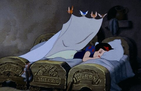 Screenshot of Disney's Snow White being tucked in by birds.