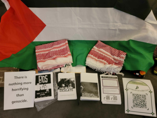 Photo of a tableau of zines and flyers with some keffiyehs framed by a Palestinian flag.