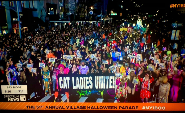 A large crowd of colorful people. A banner reads Cat Ladies Unite